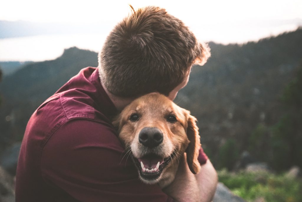 A man hugging his dog. Photo via Unsplash.