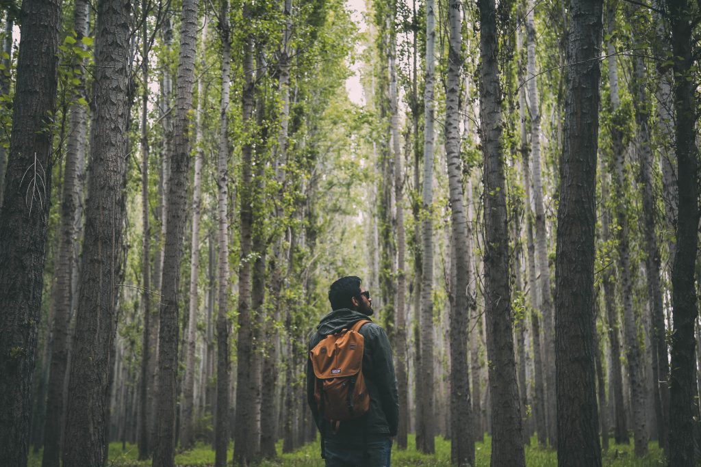 walking in the forest. Photo by Oziel Gómez via